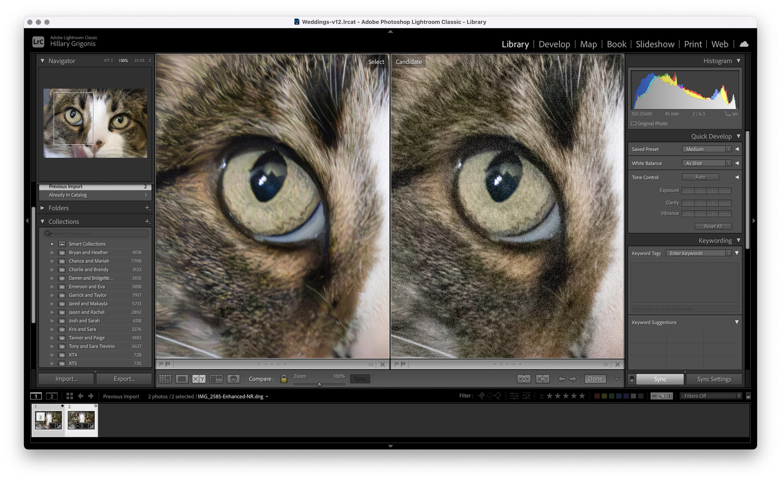 Comparing Lightroom and Photoshop: Which Is Right for Your Photo Editing Needs?